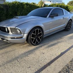 05 Ford Mustang Gt