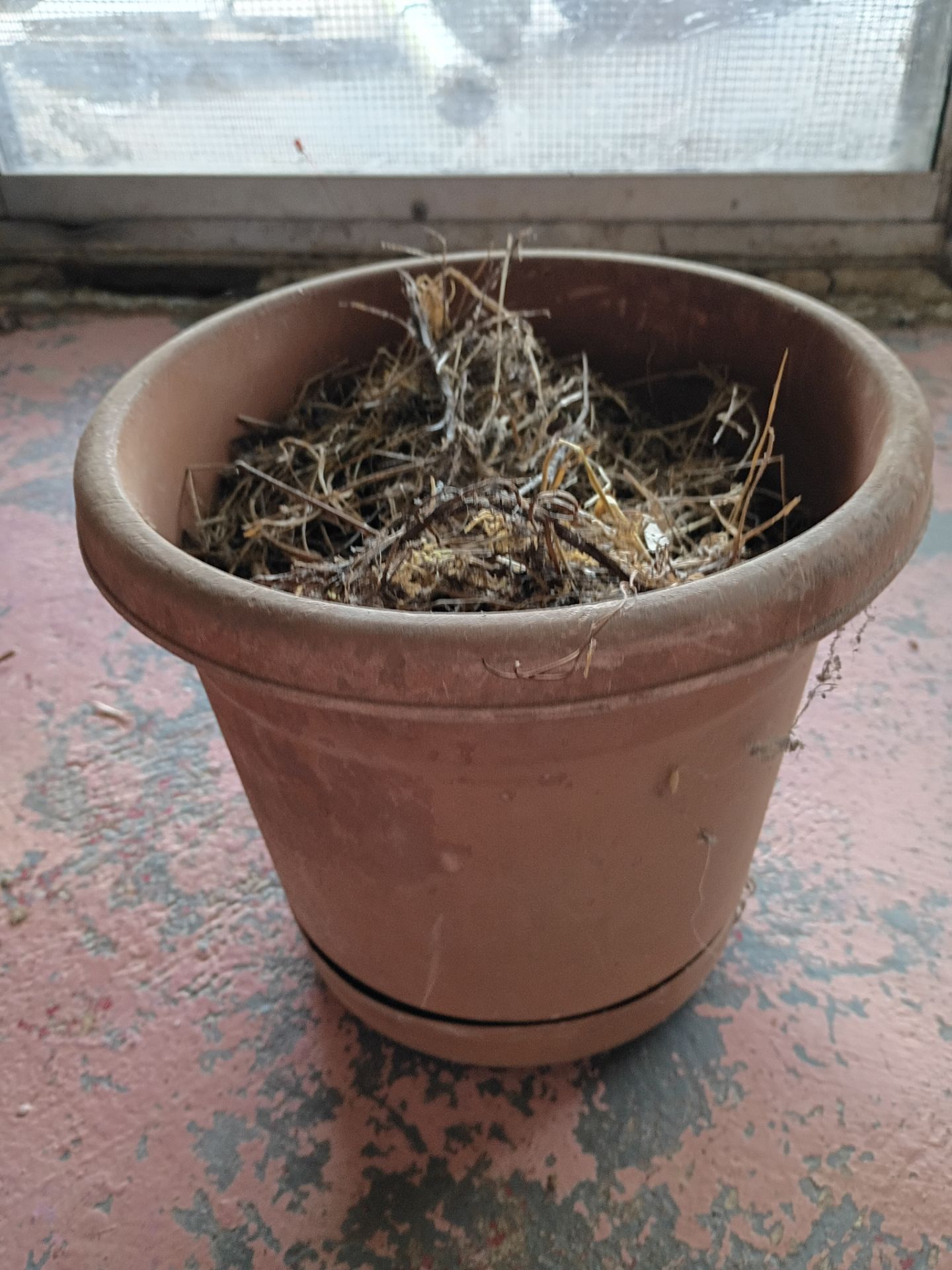 Flower pot bout a ft tall