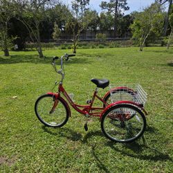 Adult three wheel bike brand new out of the box