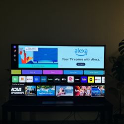 65” LG 4K OLED EVO 