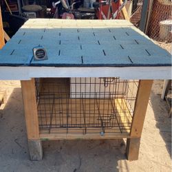 Dog and puppies off the ground house 