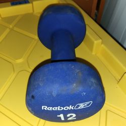 Single 12lb.dumbell