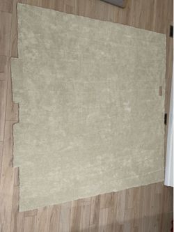 Carpet and Padding