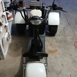 3 Wheel Electric Bike