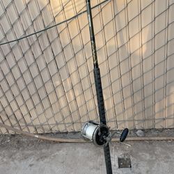 Penn Senator 6/0. & Salt Water Custom Rod