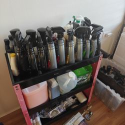 Pro Detailing Supplies/Cart/Deionizer ($800+ Value)
