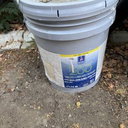 “Extra White” Paint 