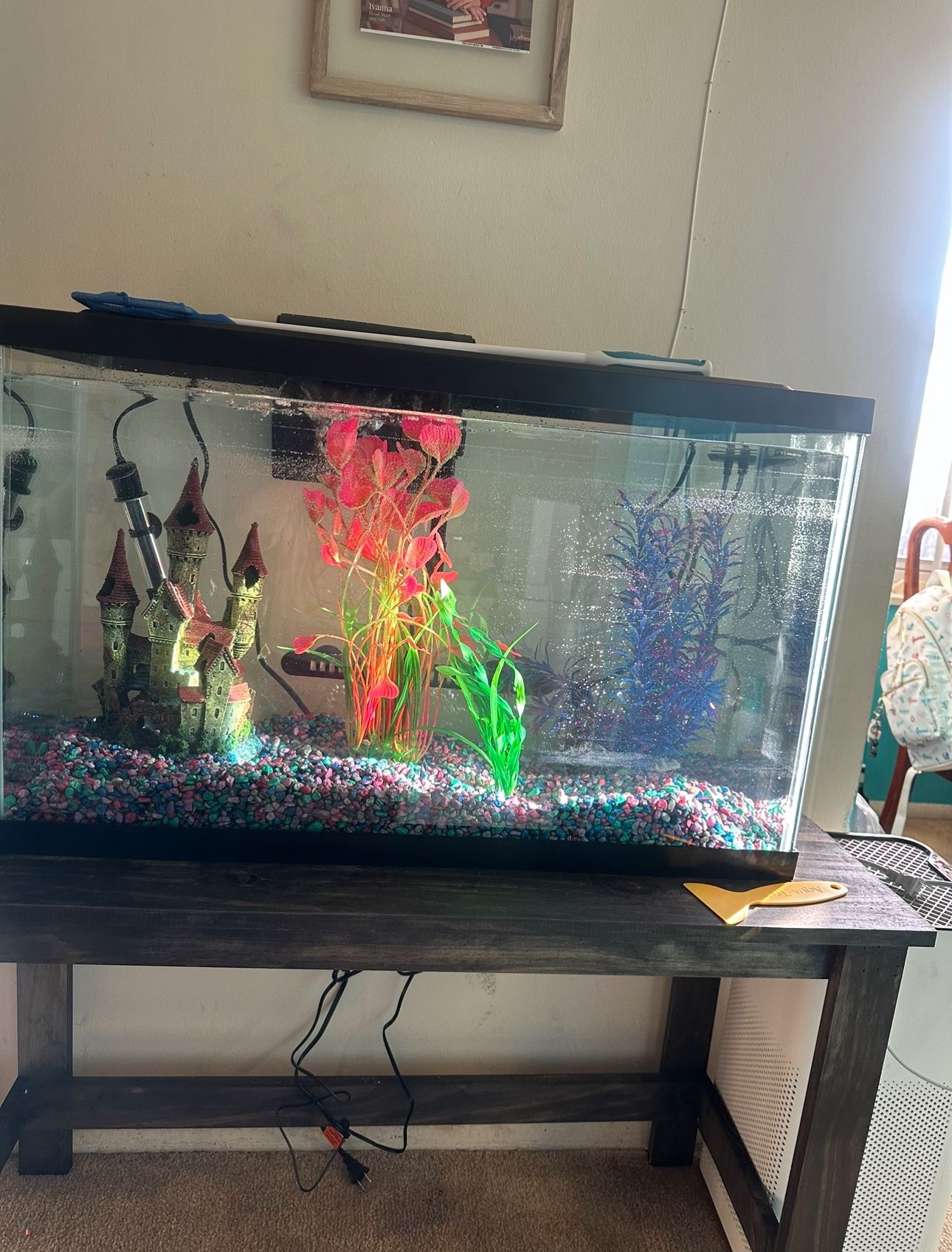 Fishing Tank 50 Gallon