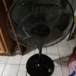 Pedestal Fan