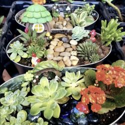 PLANT AND GIFT SALE THIS SATURDAY AT MOOSE LODGE. XMAS 