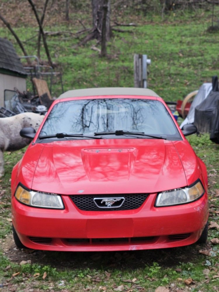 2002 Ford Mustang