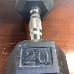 20 Pound Dumbbell 