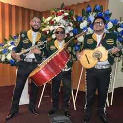 Mariachi Trumpet