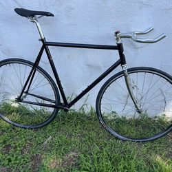 Single speed / fixed gear