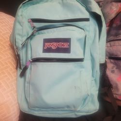 4 Jansport Student Laptop Sleeve Backpacks