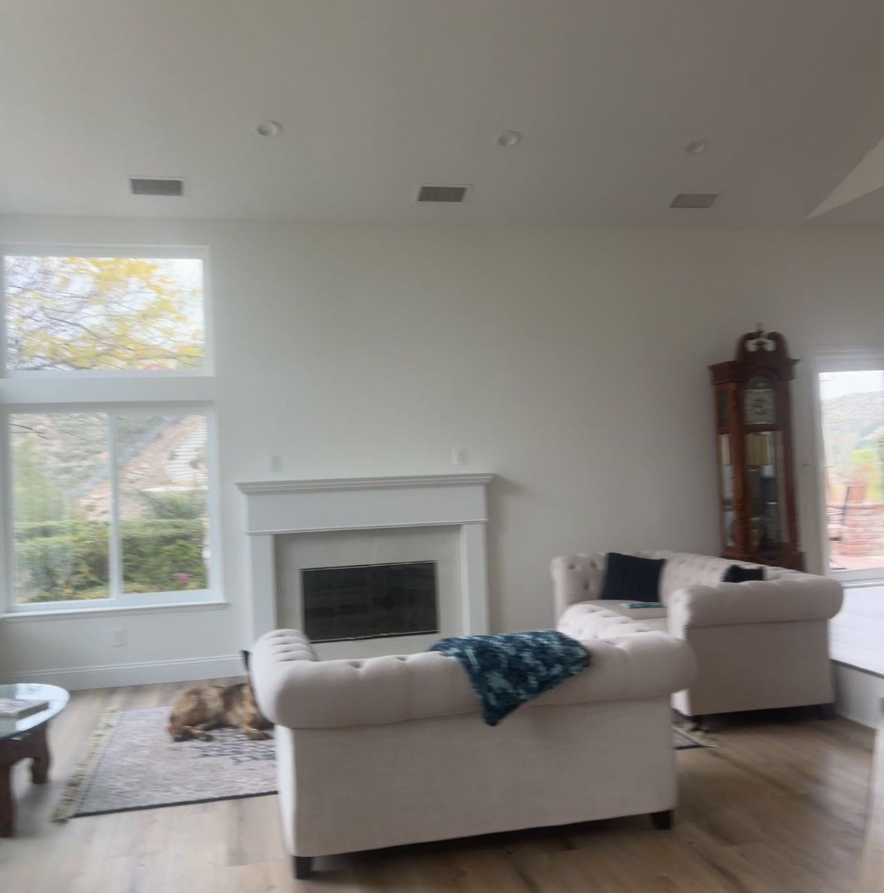 Set Two Sofas