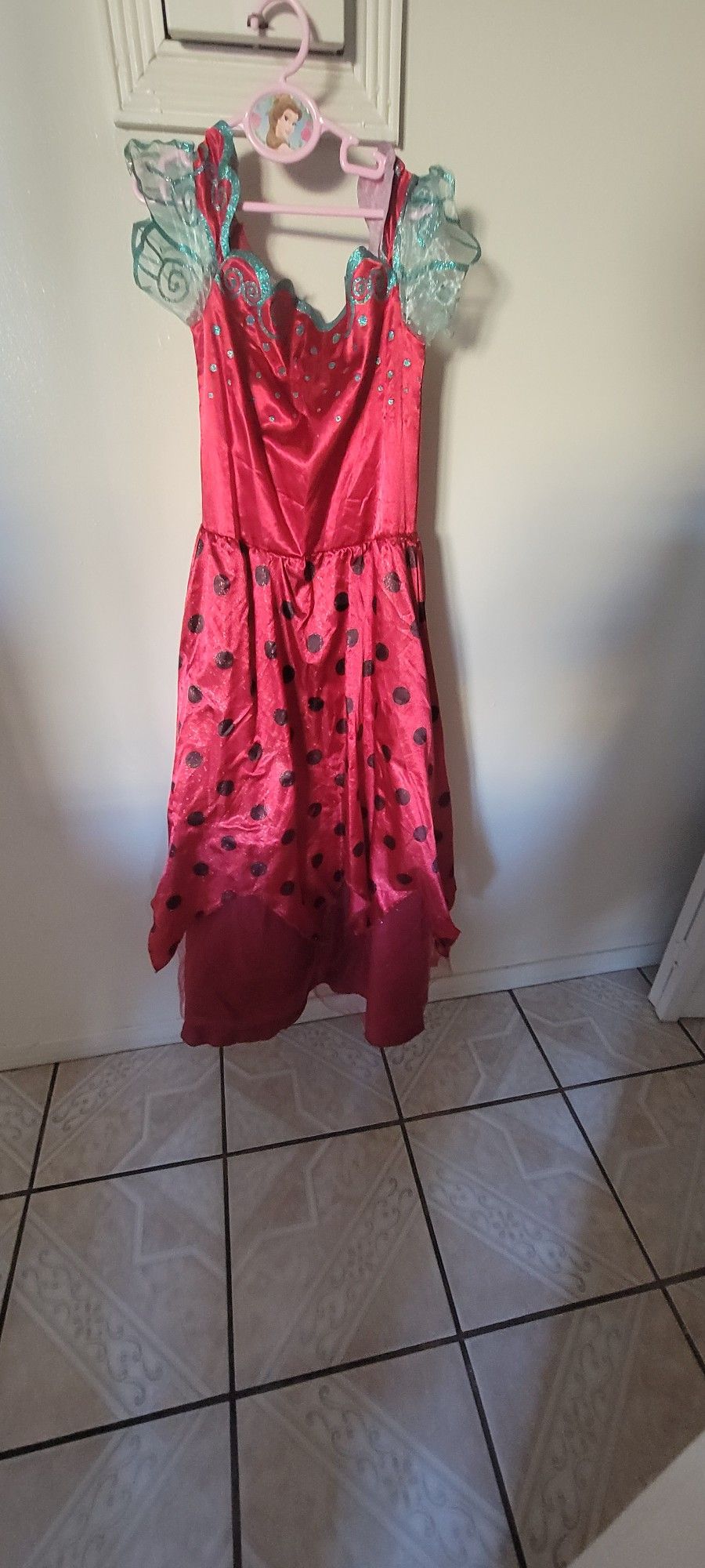 Lady Bug Halloween Costume