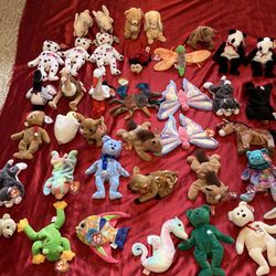 Early TY Beanie Baby Over 200, Some Rare