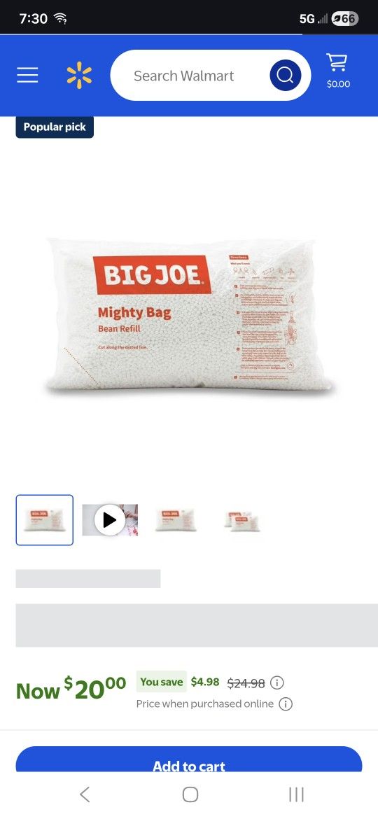 Big Joe Bean Bag Refill