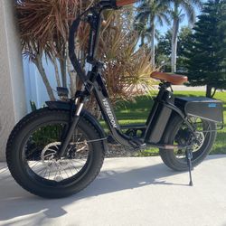 Bicicleta Eléctrica 