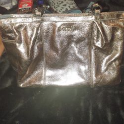 Limited Edition Chrome Coach Bag