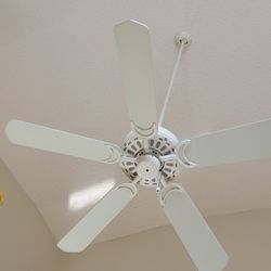 Ceiling Fan