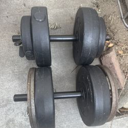 weights for exercise