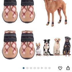 Size 8 Dog Shoes