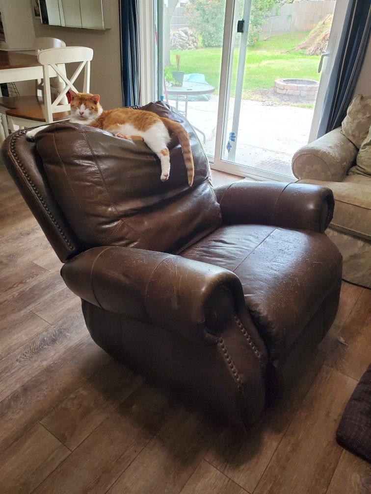 Free Leather Recliner