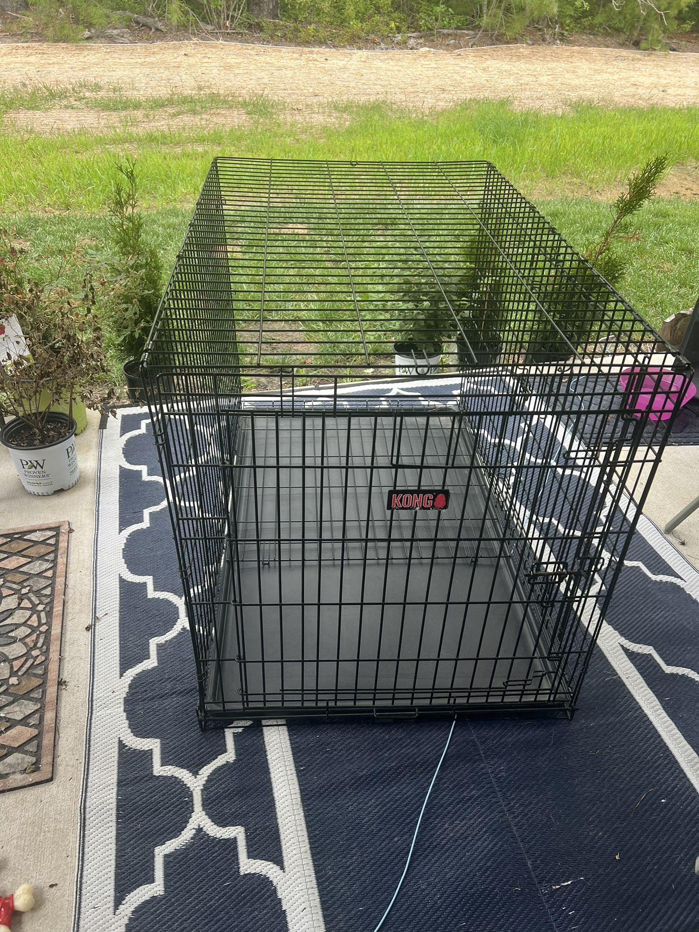 Large Kong Dog Crate , Excellent Condition!