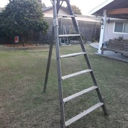 Picking Ladder 