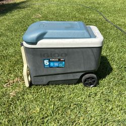 Cooler 