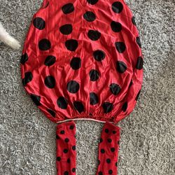 Lady Bug Costume Large