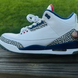 Jordan True Blue 3’s 