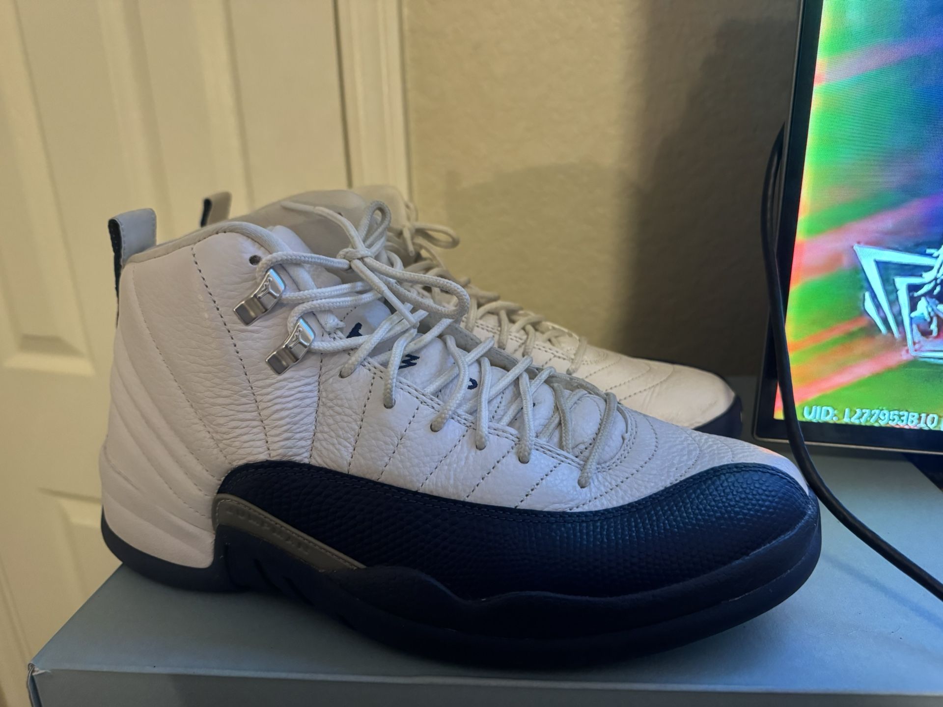 Retro Jordan 12 French Blues
