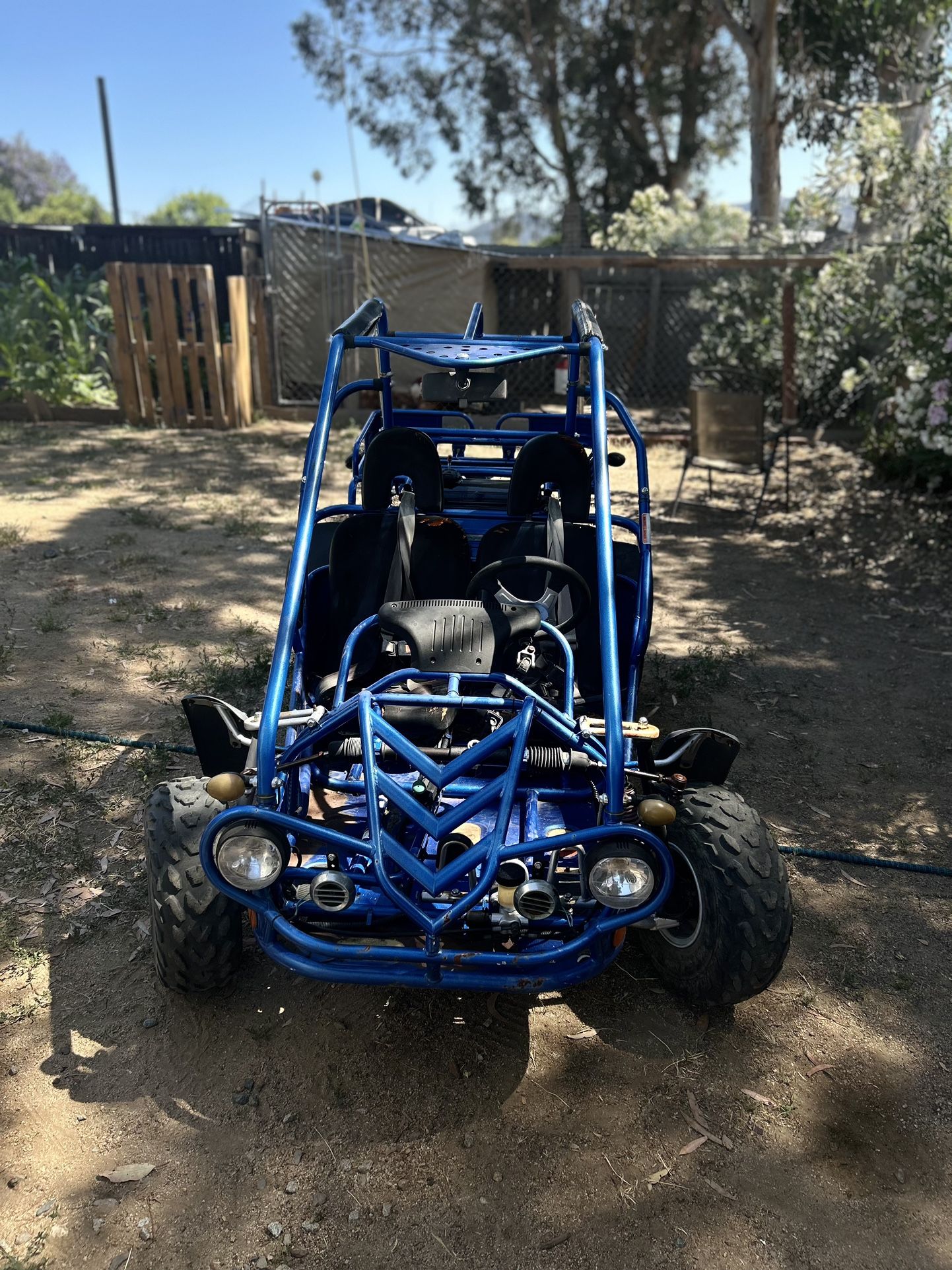 Hammer Head Buggy