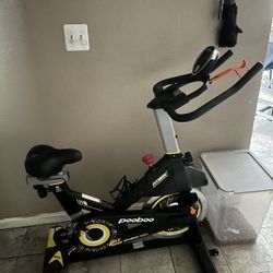 PooBoo Exercise Bike 