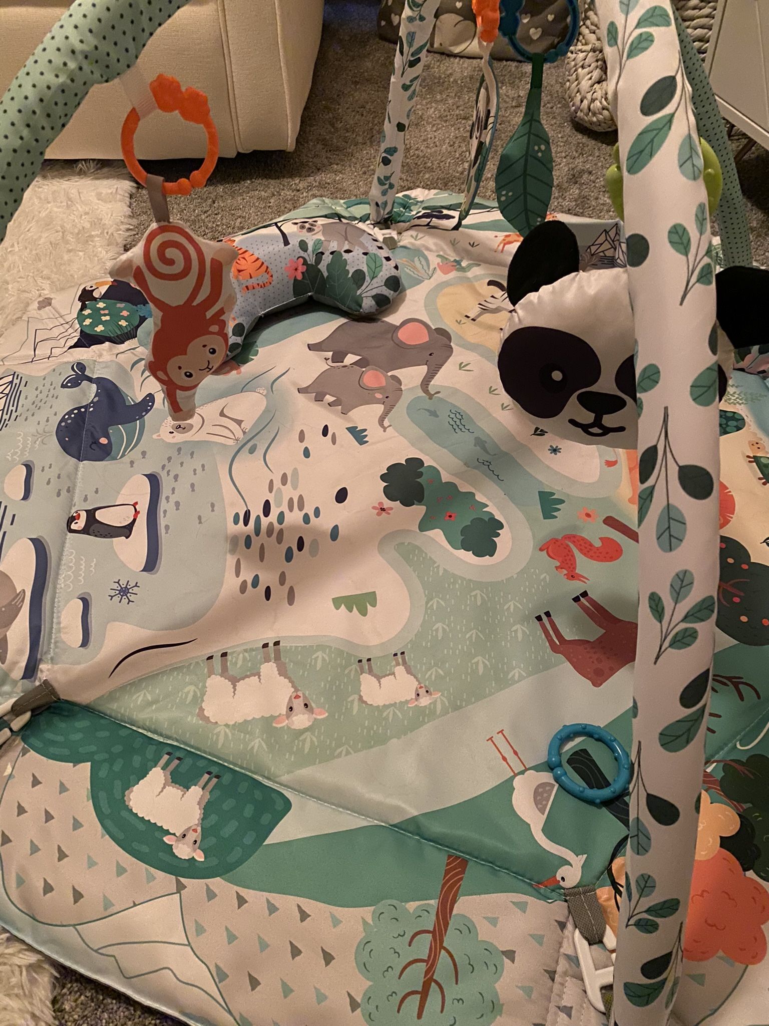 Baby Activity Mat