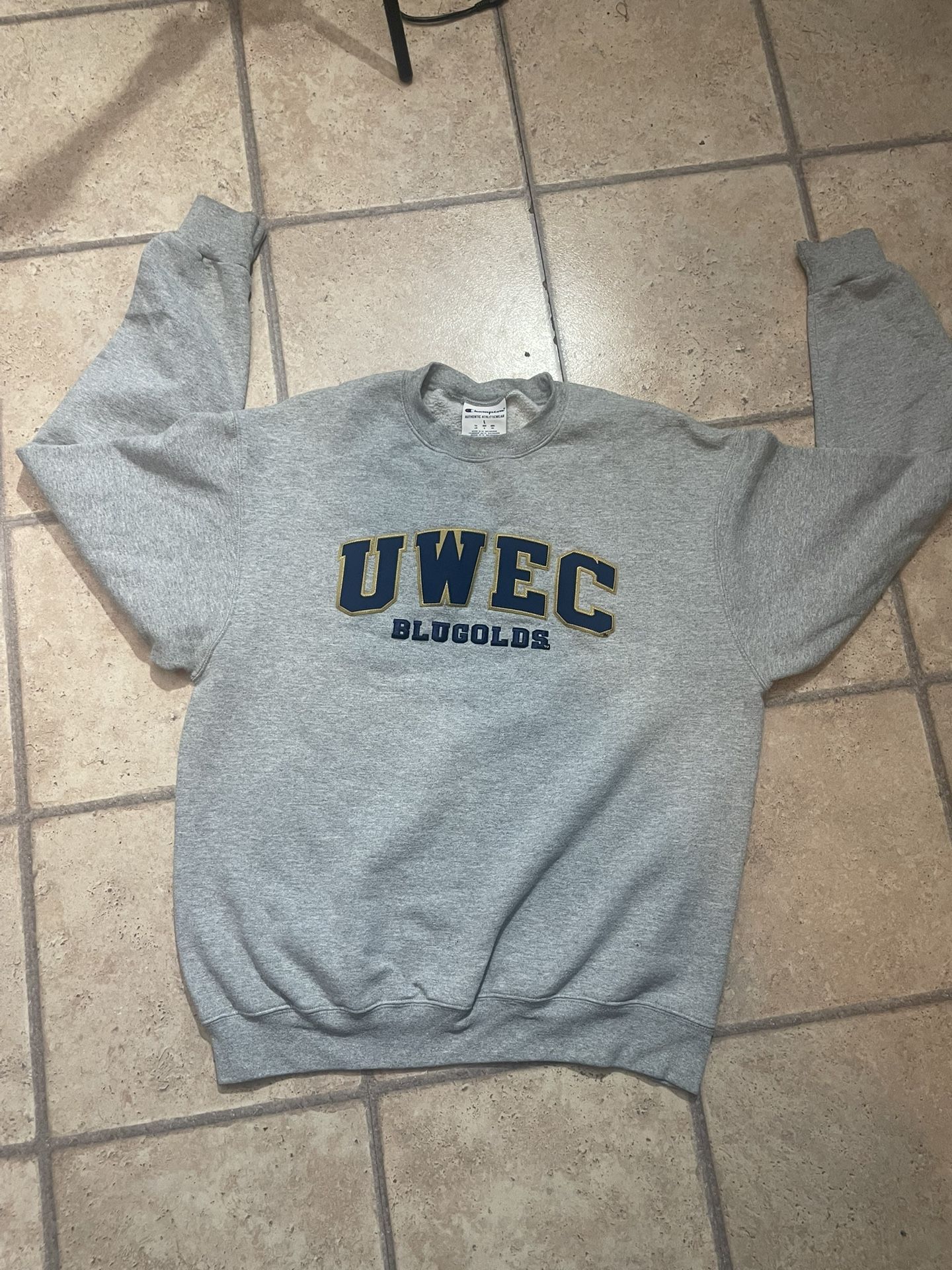 Vintage Champion University of Wisconsin-Eau Claire (UWEC) Blugolds crewneck sweatshirt.