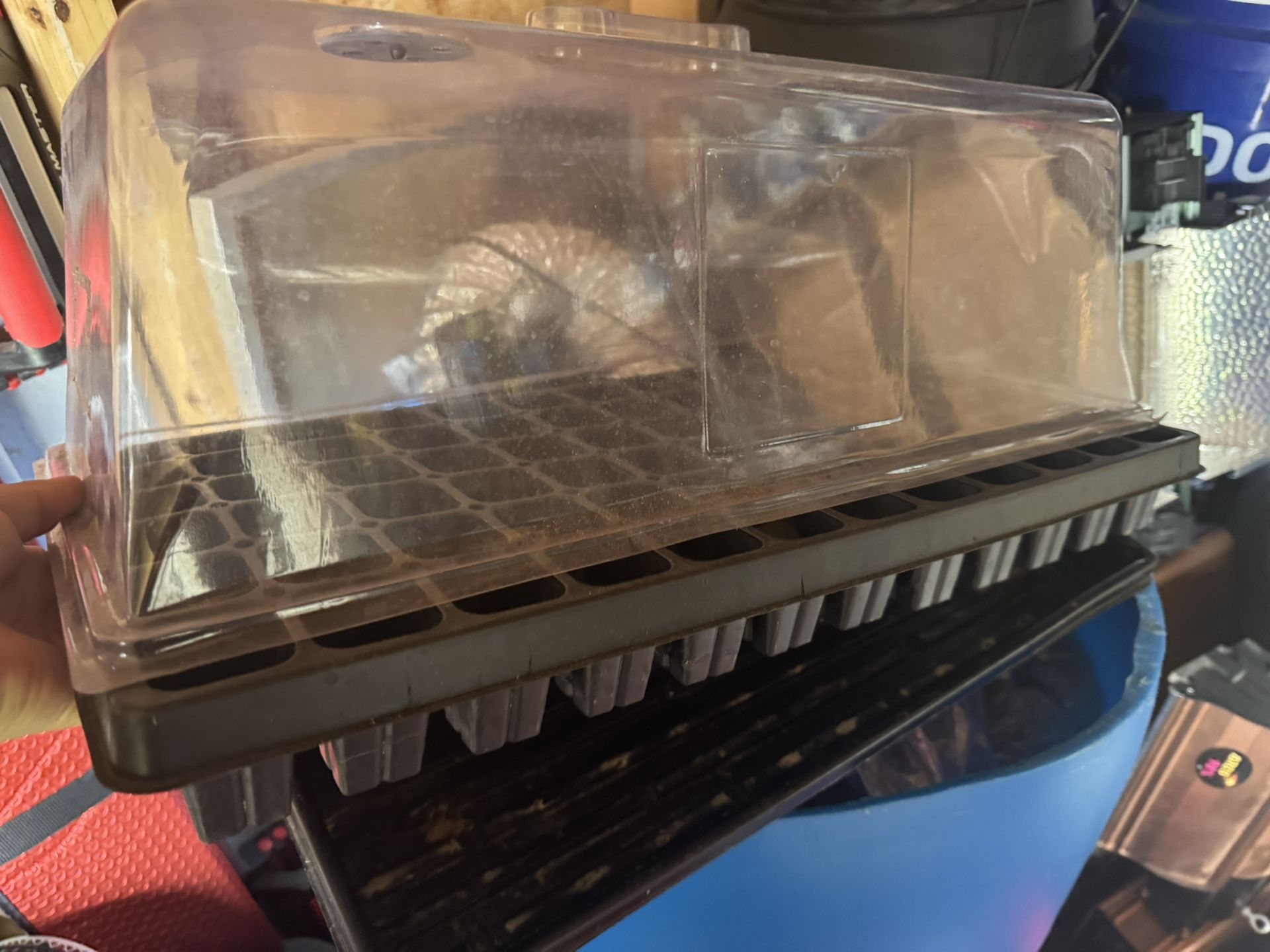 Plant Seedling Tray