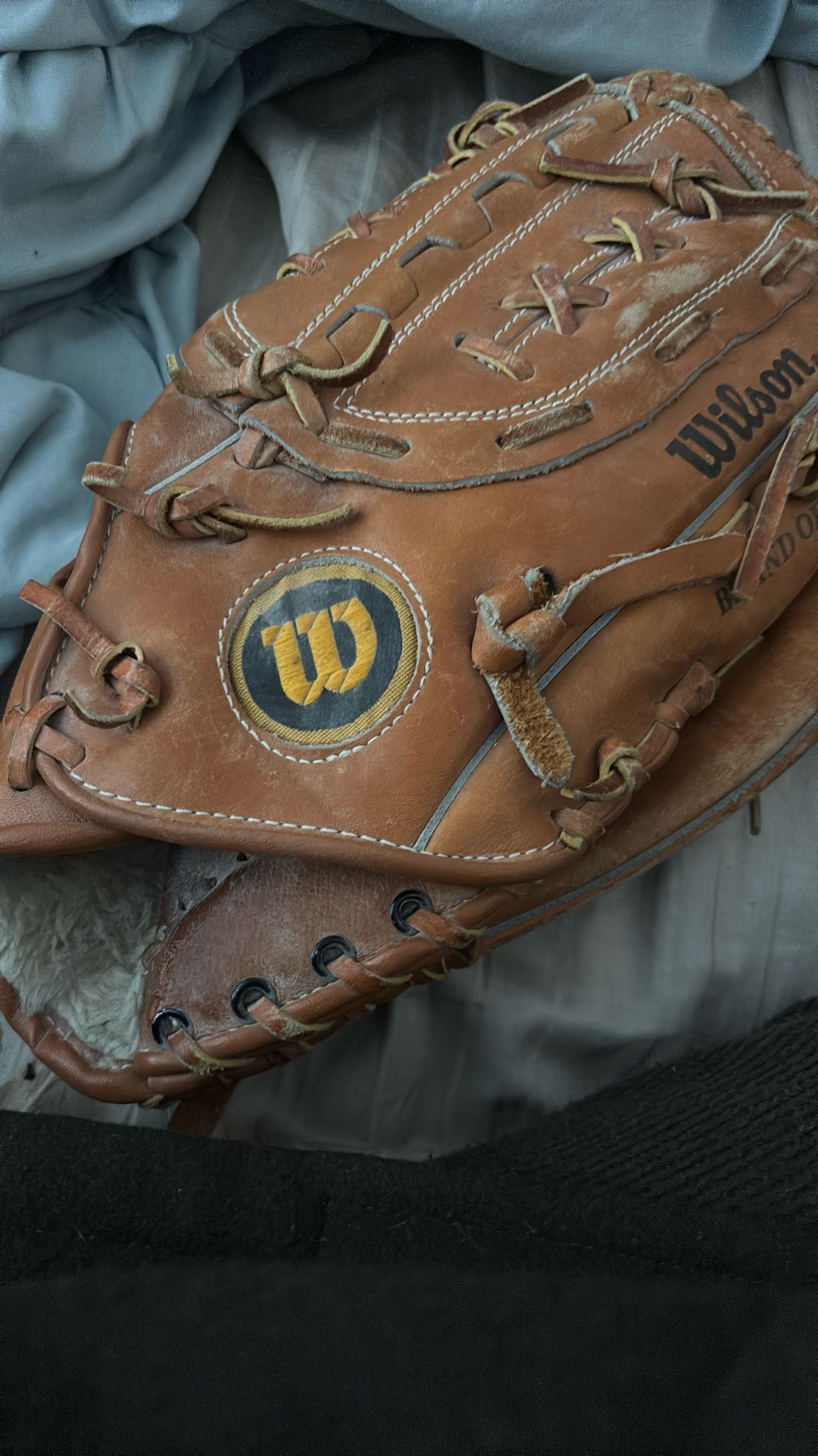Looks Like 13,14baseball Glove.