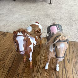 Two horses