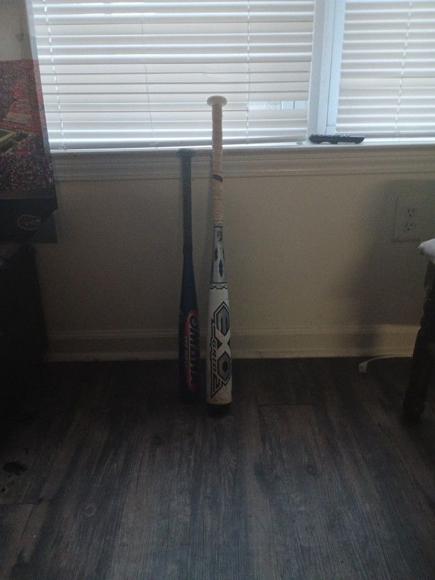 Louisville Sluggers Baseball Bat