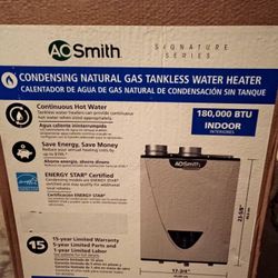 AO Smith Tankless Water Heater