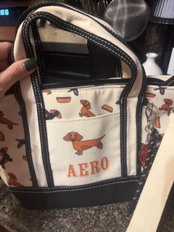 Aero purse