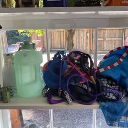 Dog Items