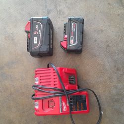 Charger And Batteries Milwaukee 