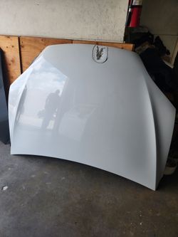 2016-2025 Tesla Model X Hood Oem