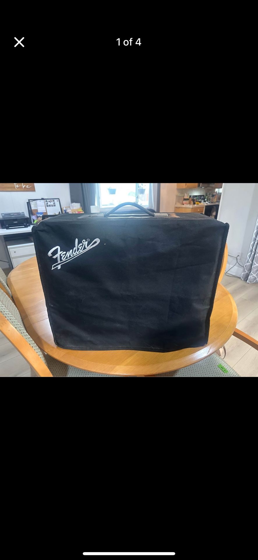 Fender Princeton Reverb Limited Edition