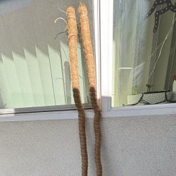 Plant Moss Pole